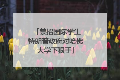 禁招国际学生 特朗普政府对哈佛大学下狠手