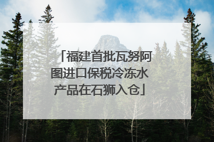 福建首批瓦努阿图进口保税冷冻水产品在石狮入仓