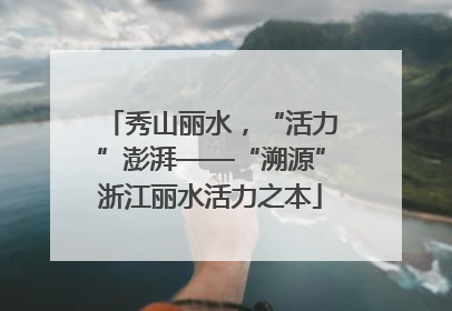 秀山丽水，“活力”澎湃——“溯源”浙江丽水活力之本