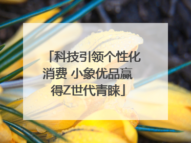 科技引领个性化消费 小象优品赢得Z世代青睐