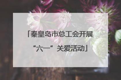 秦皇岛市总工会开展“六一”关爱活动