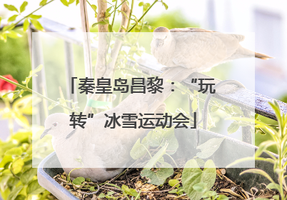秦皇岛昌黎：“玩转”冰雪运动会