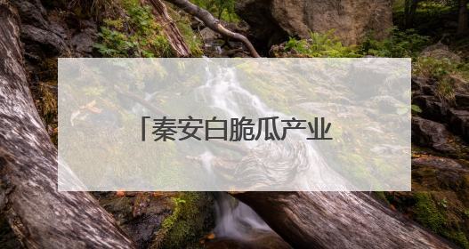 秦安白脆瓜产业蓬勃发展 开启夏日“甜蜜季”