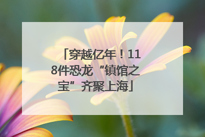穿越亿年！118件恐龙“镇馆之宝”齐聚上海