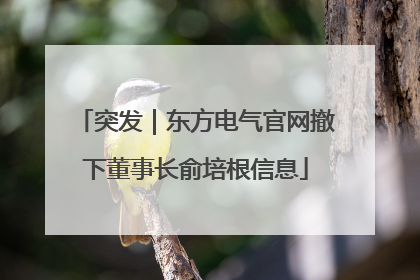 突发｜东方电气官网撤下董事长俞培根信息