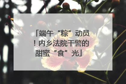 端午“粽”动员！内乡法院干警的甜蜜“食”光