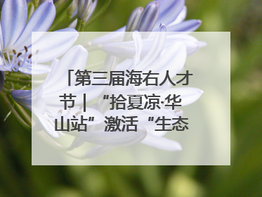 第三届海右人才节｜“拾夏凉·华山站”激活“生态聚才”强磁场