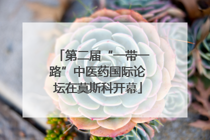 第二届“一带一路”中医药国际论坛在莫斯科开幕