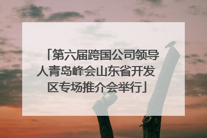 第六届跨国公司领导人青岛峰会山东省开发区专场推介会举行