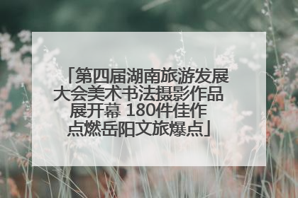 第四届湖南旅游发展大会美术书法摄影作品展开幕 180件佳作点燃岳阳文旅爆点