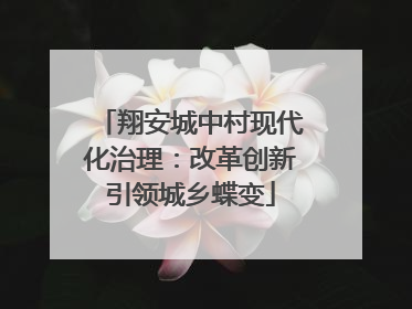 翔安城中村现代化治理：改革创新引领城乡蝶变