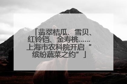 翡翠桔瓜、雪贝、红铃铛、金寿桃……上海市农科院开启“缤纷蔬菜之约”