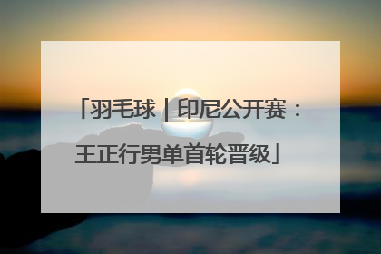 羽毛球｜印尼公开赛：王正行男单首轮晋级