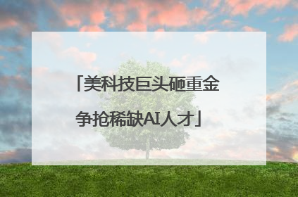 美科技巨头砸重金争抢稀缺AI人才