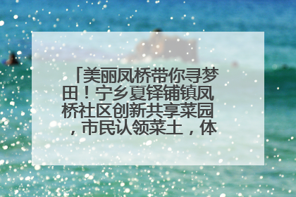 美丽凤桥带你寻梦田！宁乡夏铎铺镇凤桥社区创新共享菜园，市民认领菜土，体验耕种收获乐趣
