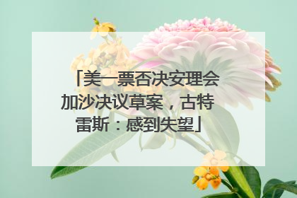 美一票否决安理会加沙决议草案，古特雷斯：感到失望