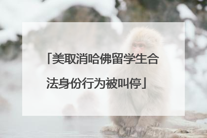 美取消哈佛留学生合法身份行为被叫停