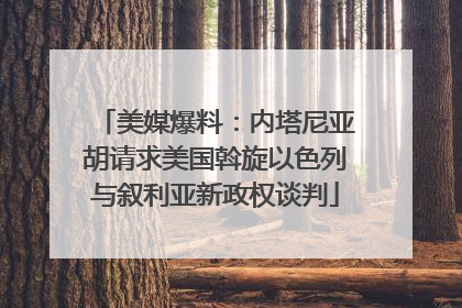 美媒爆料：内塔尼亚胡请求美国斡旋以色列与叙利亚新政权谈判