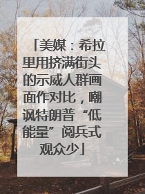 美媒：希拉里用挤满街头的示威人群画面作对比，嘲讽特朗普“低能量”阅兵式观众少