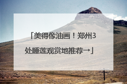 美得像油画！郑州3处睡莲观赏地推荐→