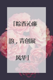 粽香沁廉韵，青创展风华