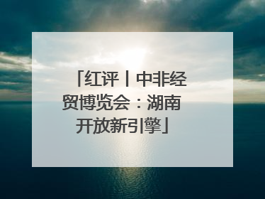 红评丨中非经贸博览会：湖南开放新引擎