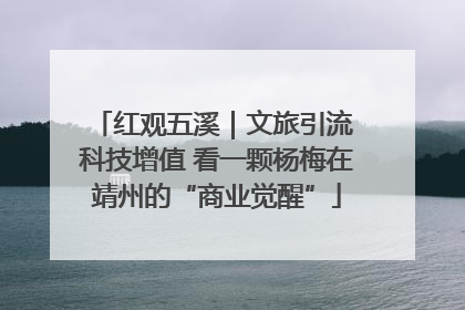 红观五溪｜文旅引流 科技增值 看一颗杨梅在靖州的“商业觉醒”
