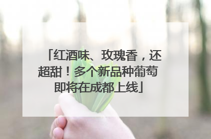 红酒味、玫瑰香，还超甜！多个新品种葡萄即将在成都上线