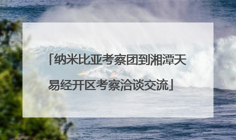 纳米比亚考察团到湘潭天易经开区考察洽谈交流