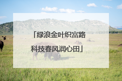 绿浪金叶织富路 科技春风润心田
