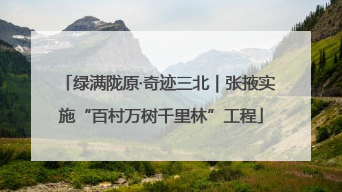 绿满陇原·奇迹三北｜张掖实施“百村万树千里林”工程