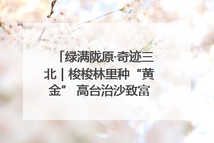 绿满陇原·奇迹三北｜梭梭林里种“黄金” 高台治沙致富很“从容”