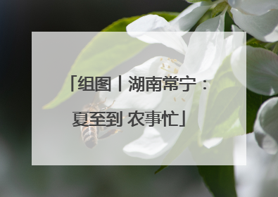 组图丨湖南常宁：夏至到 农事忙