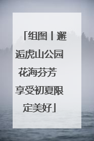 组图丨邂逅虎山公园花海芬芳 享受初夏限定美好