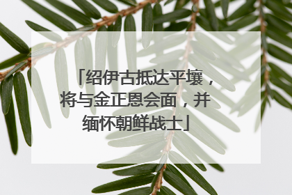 绍伊古抵达平壤，将与金正恩会面，并缅怀朝鲜战士
