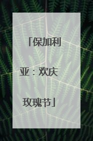 保加利亚：欢庆玫瑰节