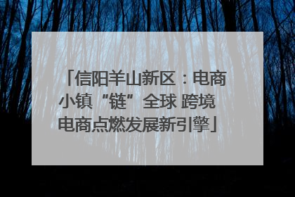 信阳羊山新区：电商小镇“链”全球 跨境电商点燃发展新引擎
