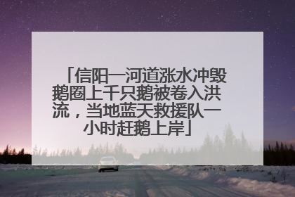 信阳一河道涨水冲毁鹅圈上千只鹅被卷入洪流，当地蓝天救援队一小时赶鹅上岸