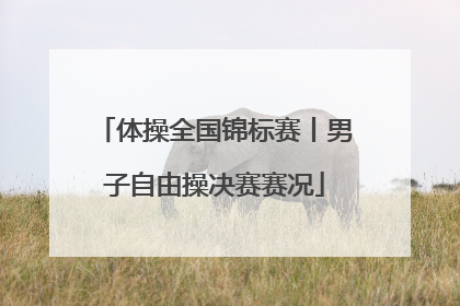体操全国锦标赛丨男子自由操决赛赛况