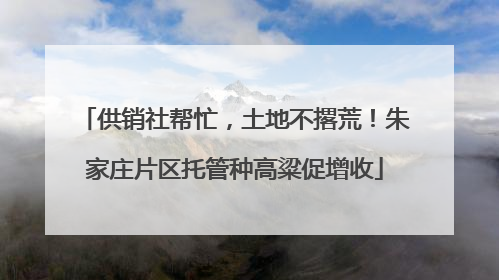 供销社帮忙，土地不撂荒！朱家庄片区托管种高粱促增收
