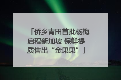 侨乡青田首批杨梅启程新加坡 保鲜提质售出“金果果”