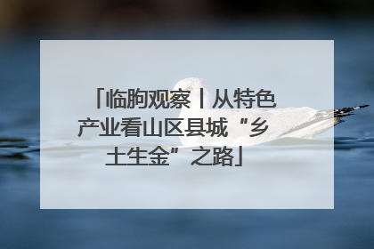 临朐观察丨从特色产业看山区县城“乡土生金”之路