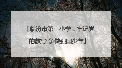 临汾市第三小学：牢记党的教导 争做强国少年