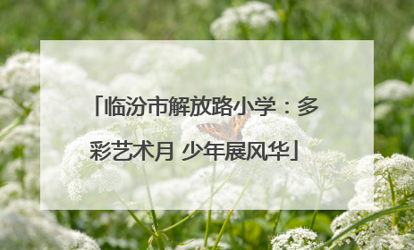 临汾市解放路小学：多彩艺术月 少年展风华