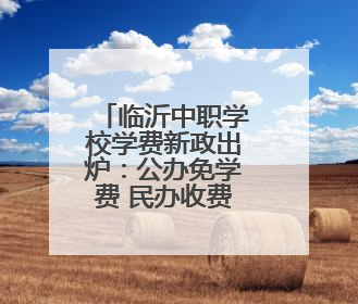 临沂中职学校学费新政出炉：公办免学费 民办收费纳入监管