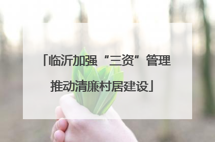 临沂加强“三资”管理 推动清廉村居建设