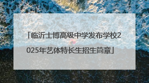 临沂士博高级中学发布学校2025年艺体特长生招生简章
