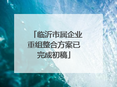 临沂市属企业重组整合方案已完成初稿