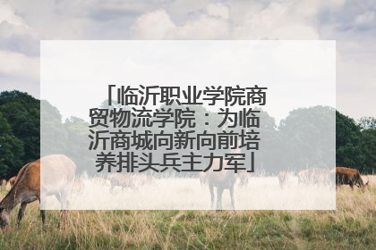 临沂职业学院商贸物流学院：为临沂商城向新向前培养排头兵主力军