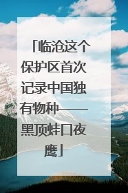 临沧这个保护区首次记录中国独有物种——黑顶蛙口夜鹰